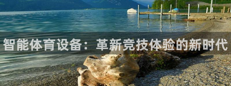 betway西汉姆联官网：智能体育设备：革新竞技体验的新时代