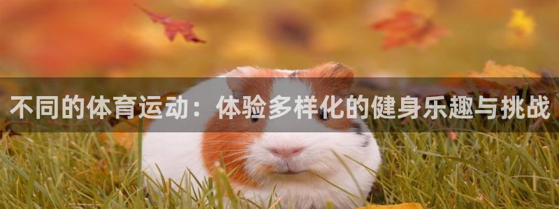 betway西汉姆：不同的体育运动：体验多样化的健身乐趣与挑战