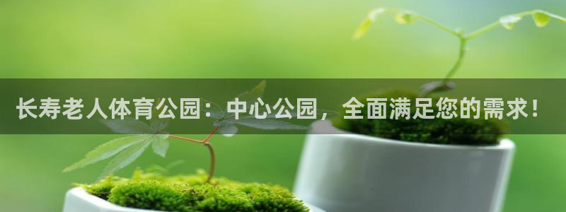 betway西汉姆：长寿老人体育公园：中心公园，全面满足您的需求！